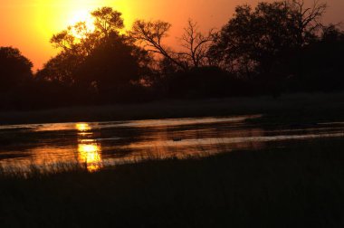 Afrika savanasındaki su birikintisinde gün batımı