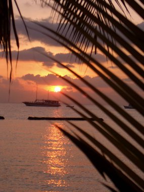 Deniz kıyısında gün batımı