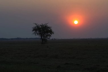 Tarlada güzel bir gün batımı