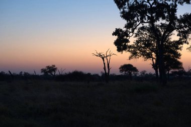 Gölün üzerinde güzel bir gün batımı