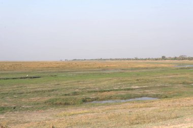 Arkasında büyük beyaz çimenler ve küçük bir göl olan bir tarla.