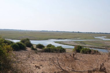 Kırsal bölgedeki nehir.
