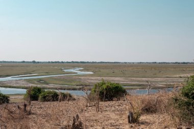 İsrail 'in kuzeyindeki parkta nehir manzarası.