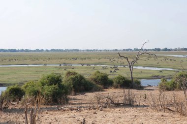 Parkta bir nehir manzarası