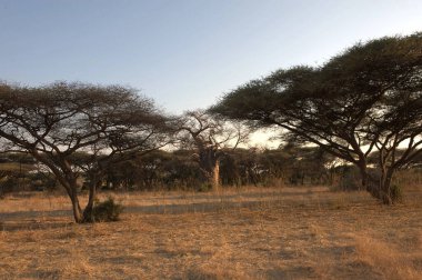 Doğanın güzel manzarası.