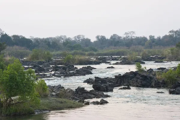 Sabah ormandaki nehir.