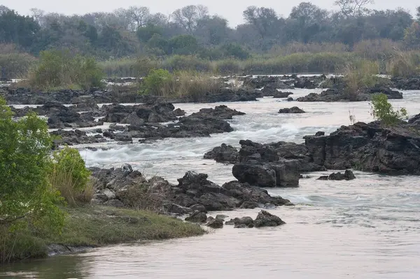 Ormanda şelalesi olan nehir..