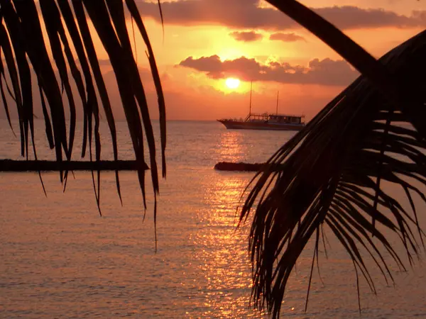 Sahilde güzel bir gün batımı