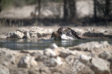 Nehre su sıçrıyor