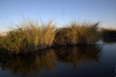 Arka planda nehir ve göl olan güzel bir manzara.