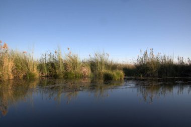 Sabahları nehir manzarası