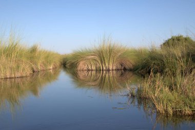 Nehir ve gölü olan güzel bir manzara.