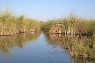 Sabahları nehrin güzel manzarası