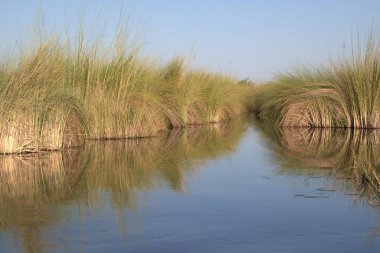 Parktaki nehrin güzel manzarası