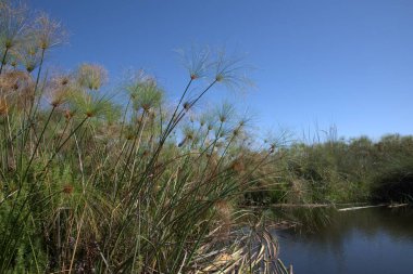 Doğanın güzel manzarası