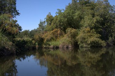 Arkasında ağaçlar ve yeşillik olan güzel bir nehir manzarası.