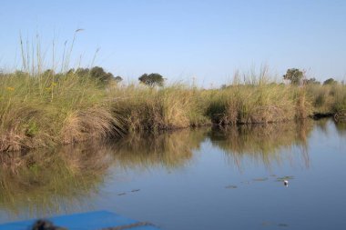 Parkta güzel bir göl manzarası