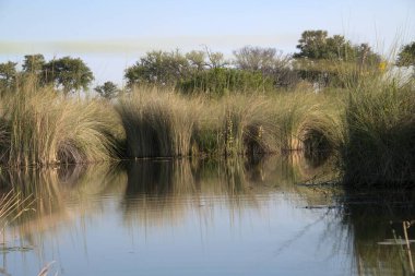 Doğanın güzel manzarası
