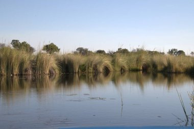 Güzel göl manzarası