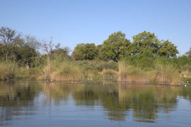 Kuraklık Cumhuriyeti 'nin güneyinde ulusal rezerv nehri