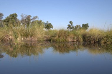 Doğanın güzel manzarası