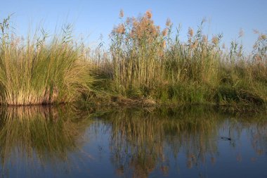Sabah göl manzarası çok güzel.
