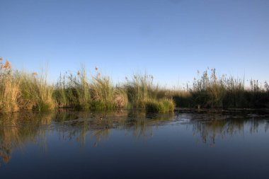 Arka planda nehir ve göl olan güzel bir manzara.