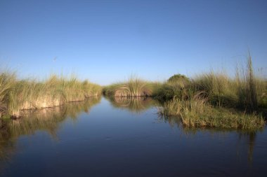 Gölün güzel manzarası