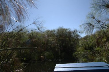 Ağaçlı ve tekneli güzel bir göl görüntüsü.