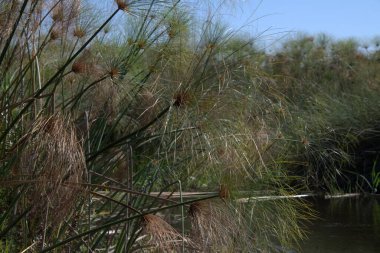 Dağlardaki güzel göl manzarası