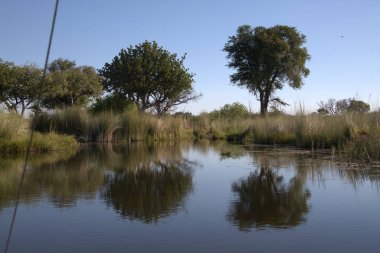 Arka planda nehir ve göl olan güzel bir manzara.