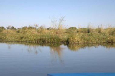Sabahları göl manzarası.