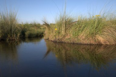 Arka planda göl olan güzel bir nehir manzarası.