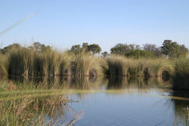 Doğanın güzel manzarası
