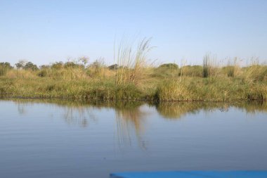 Arkasında bir göl olan güzel bir manzara.