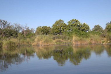Nehir manzarası, doğa manzarası