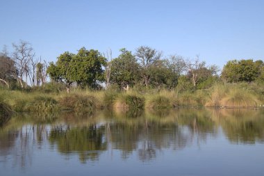 Sabahları nehrin güzel manzarası