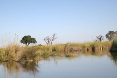 Nehir ve gölü olan güzel bir manzara.