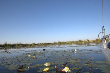 tekne ile balık ağı