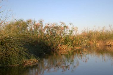 Gölde güzel bir gün batımı