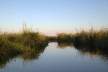 Sabahları nehrin güzel manzarası