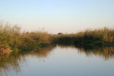 Ağaçların yansımasına sahip güzel bir nehir manzarası.