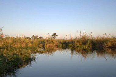 Doğal manzaranın güzel manzarası