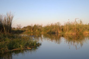 Doğal manzaranın güzel manzarası