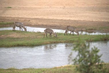 Doğanın güzel manzarası