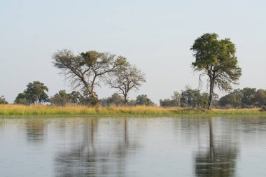 Arkadaki ağaçlarla gölün güzel bir görüntüsü.