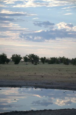 Parktaki güzel bir nehir manzarası.