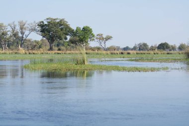 Nehir ve gölü olan güzel bir manzara.