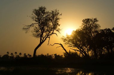 Parkta güzel bir gün batımı