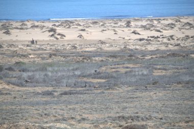Doğanın güzel manzarası